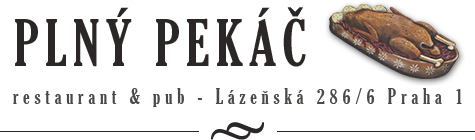 Veronika Sluka na koncertě Restaurace Plnej pekáč 2017 II.